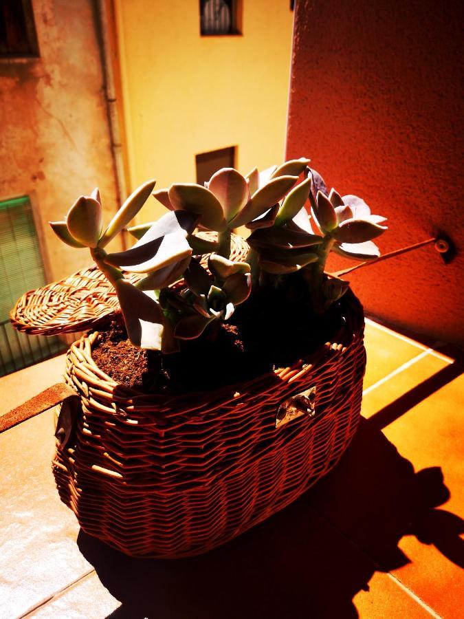 Cornu Karma Apartment Siuranella Cornudella de Montsant Luaran gambar